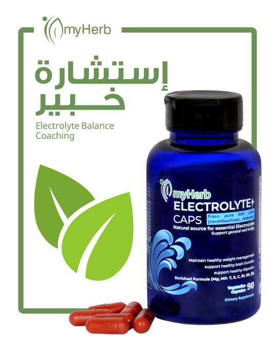 إعداد برنامج شخصي لضبط الإلكترولايتز / 
Electrolyte Balance Coaching